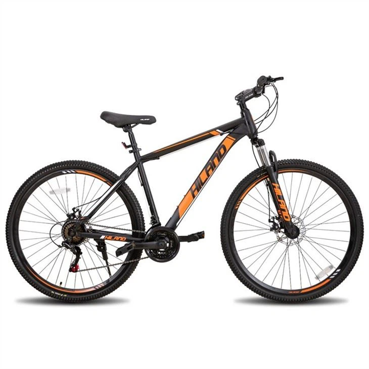 Customized Hardtail Mountain Bike