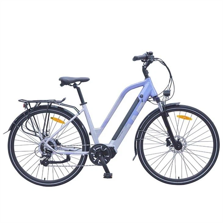 Electric Electric City Bike