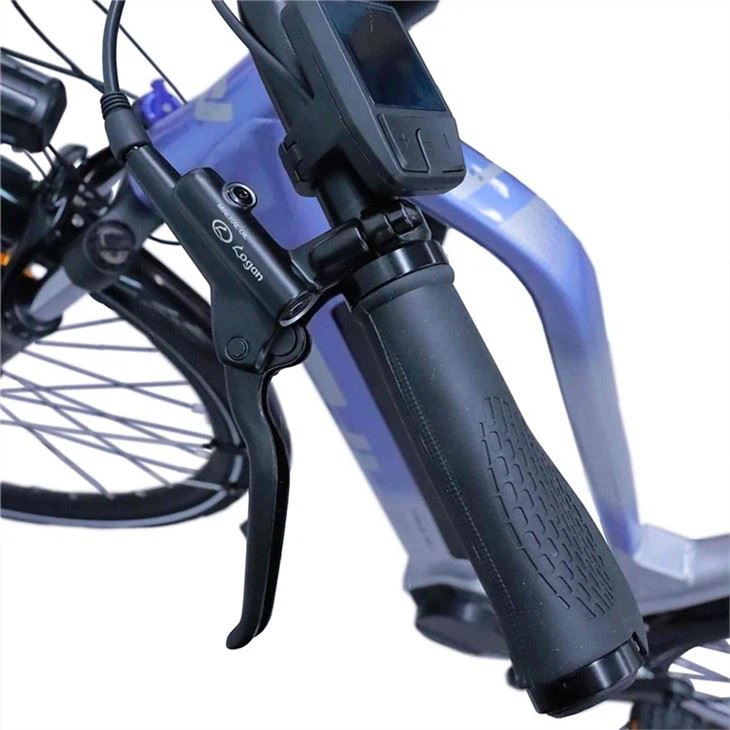 discount Electric City Bike
